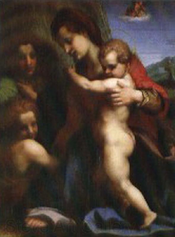 Andrea del Sarto Our Lady of sub